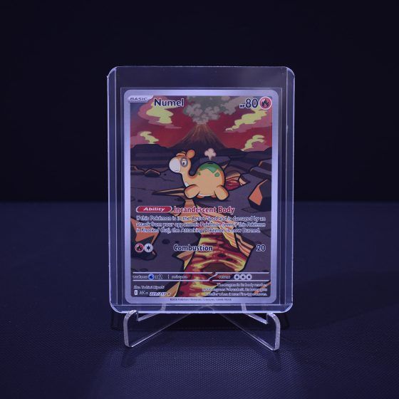 Numel, 223/217, Ascended Heroes (ASC), Illustration Rare (IR), Kartu Pokemon, [#2]