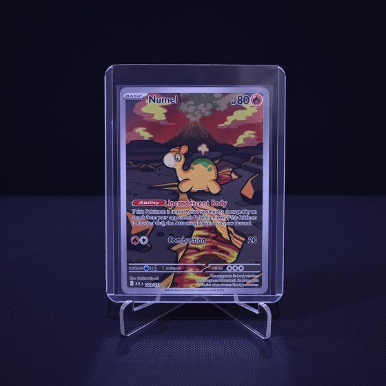 Numel, 223/217, Ascended Heroes (ASC), Illustration Rare (IR), Kartu Pokemon, [#3]