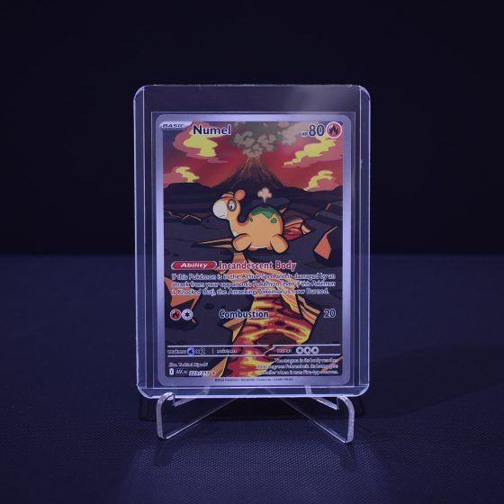Numel, 223/217, Ascended Heroes (ASC), Illustration Rare (IR), Kartu Pokemon, [#5]