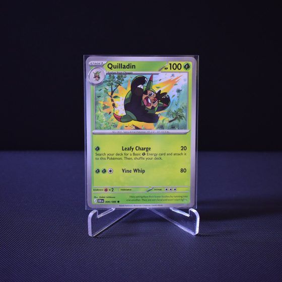 Quilladin, 006/086, Chaos Rising (CRI), Common (C), Kartu Pokemon, [#1]