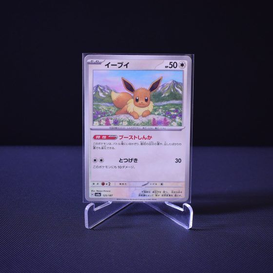 Eevee, 125/187, Terastal Festival ex (SV8A), No Rarity (NR), Kartu Pokemon, [#1]