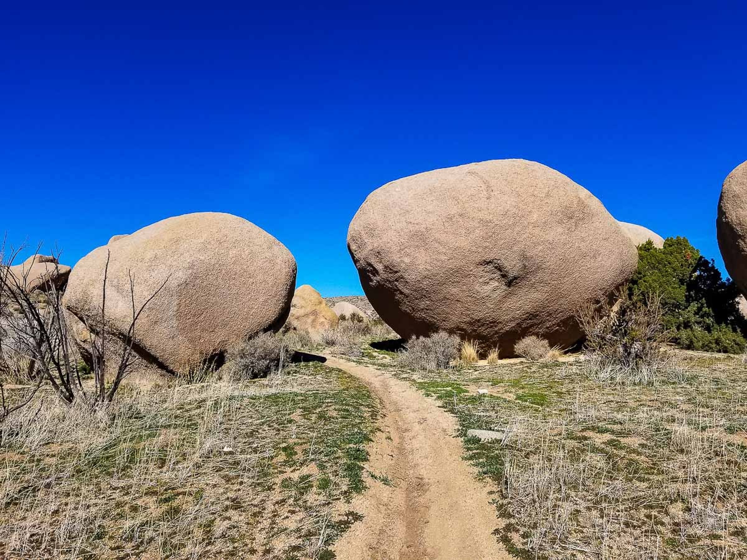 Large boulders on the trail from JF4322 Road (I think) to Cottonwood Springs.