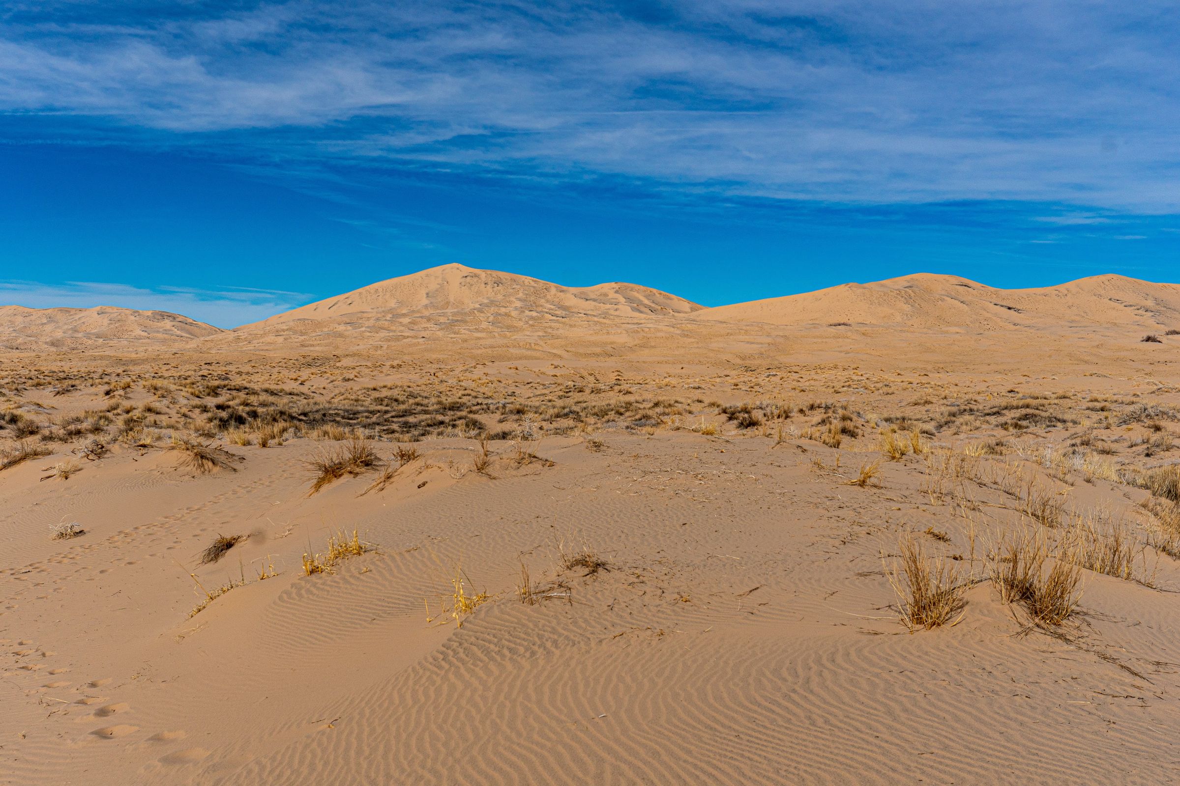 Kelso Dunes from near the trailhead