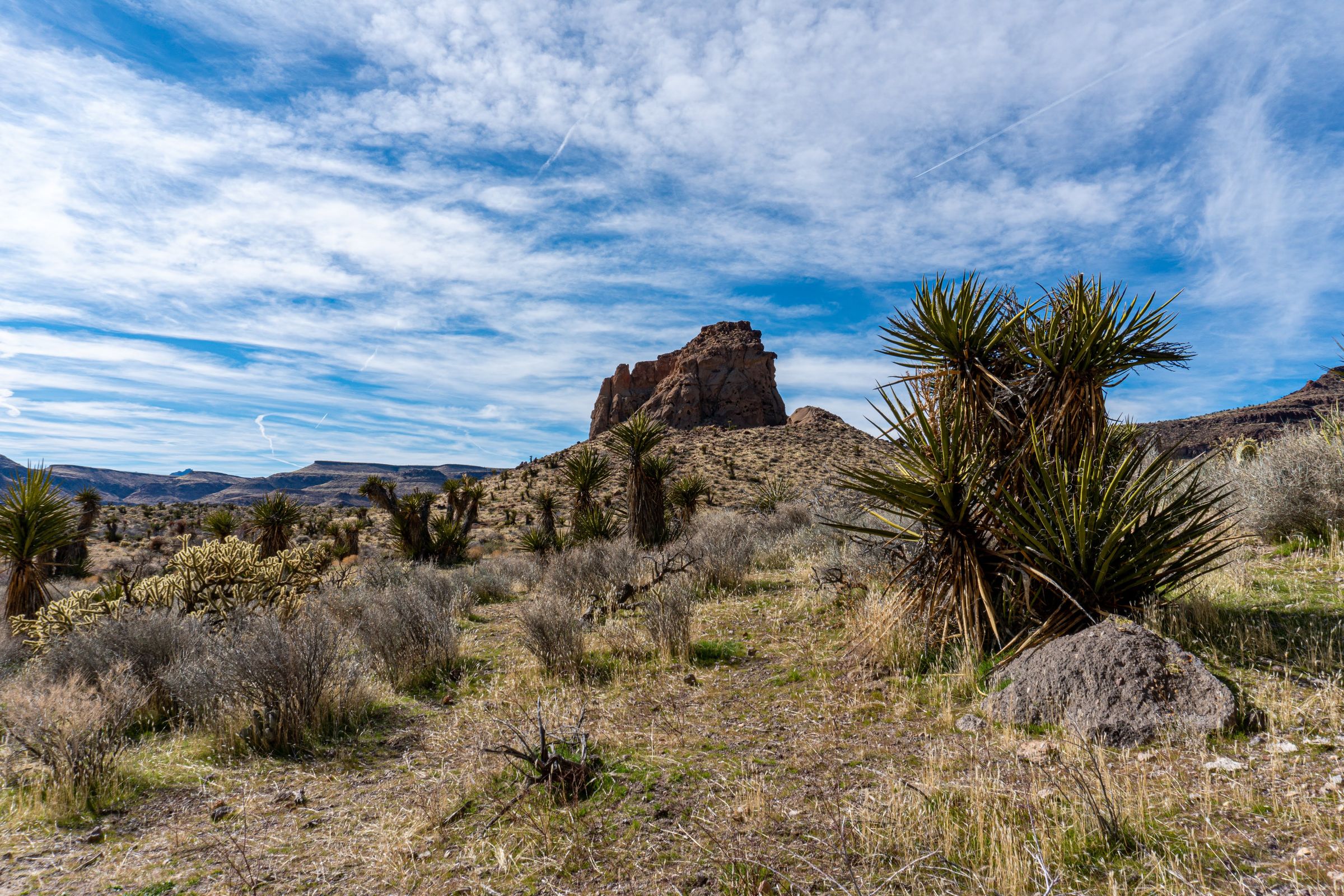 Emerging from Hole-in-the-Wall Canyon. Kind of pretty... but maybe all this grass is bad news.