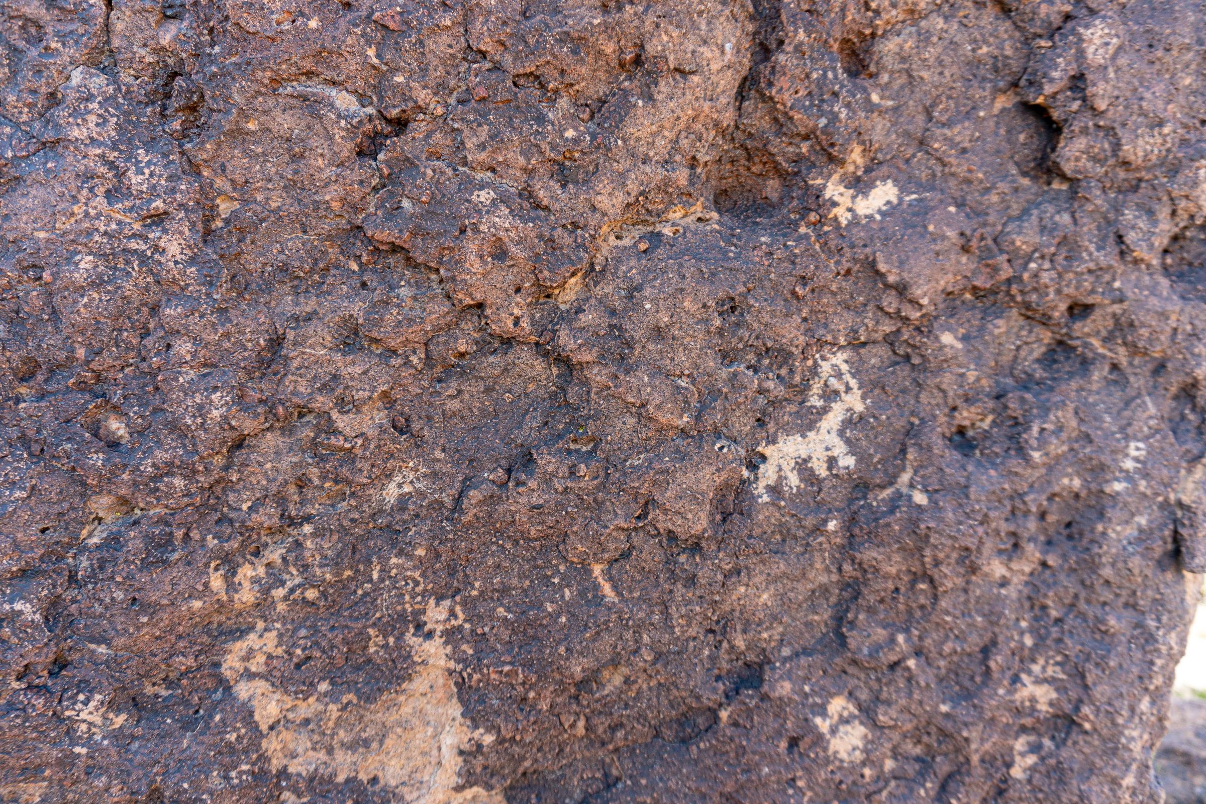 Rock carvings on loop trail