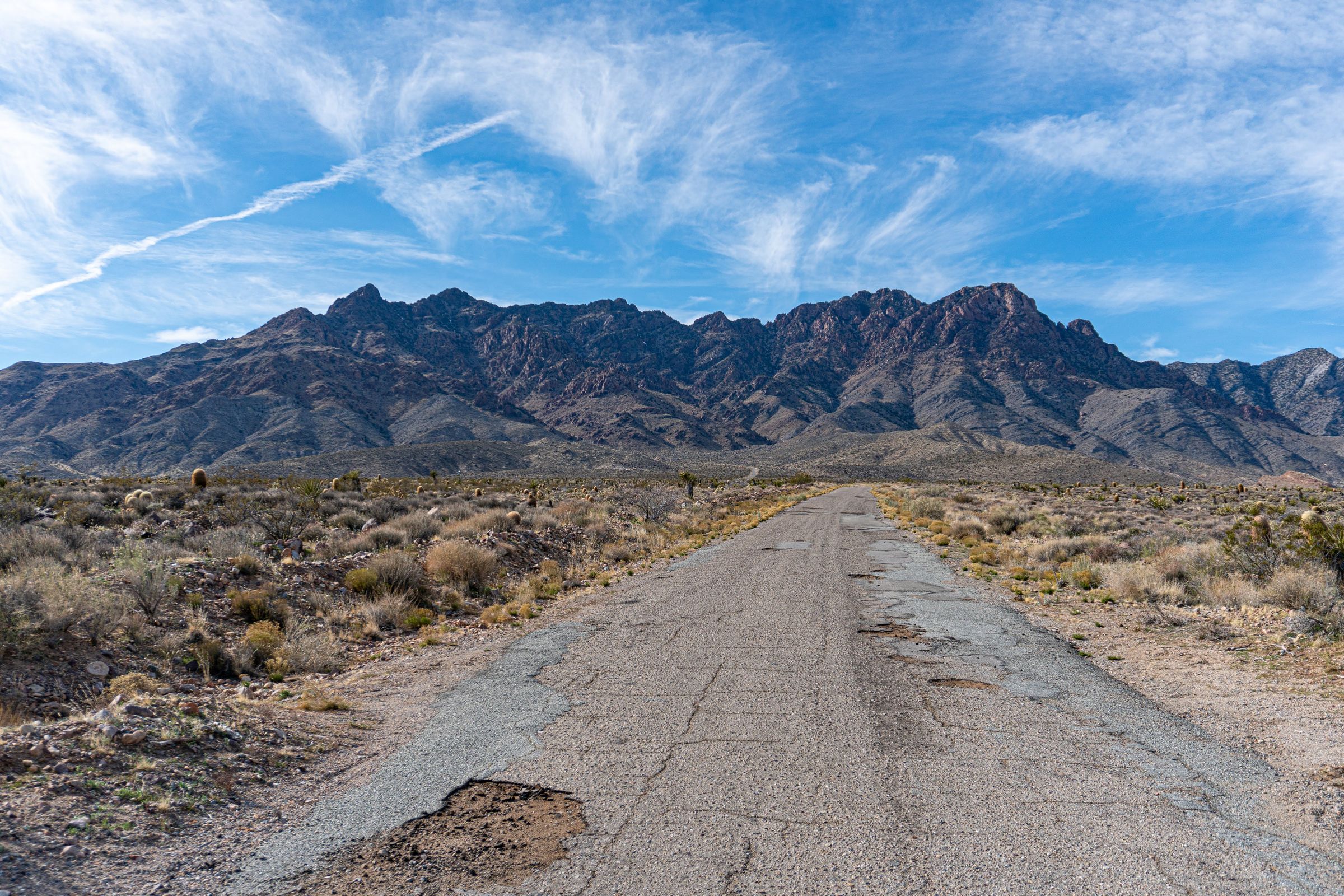 Providence Mountains from the state park entry