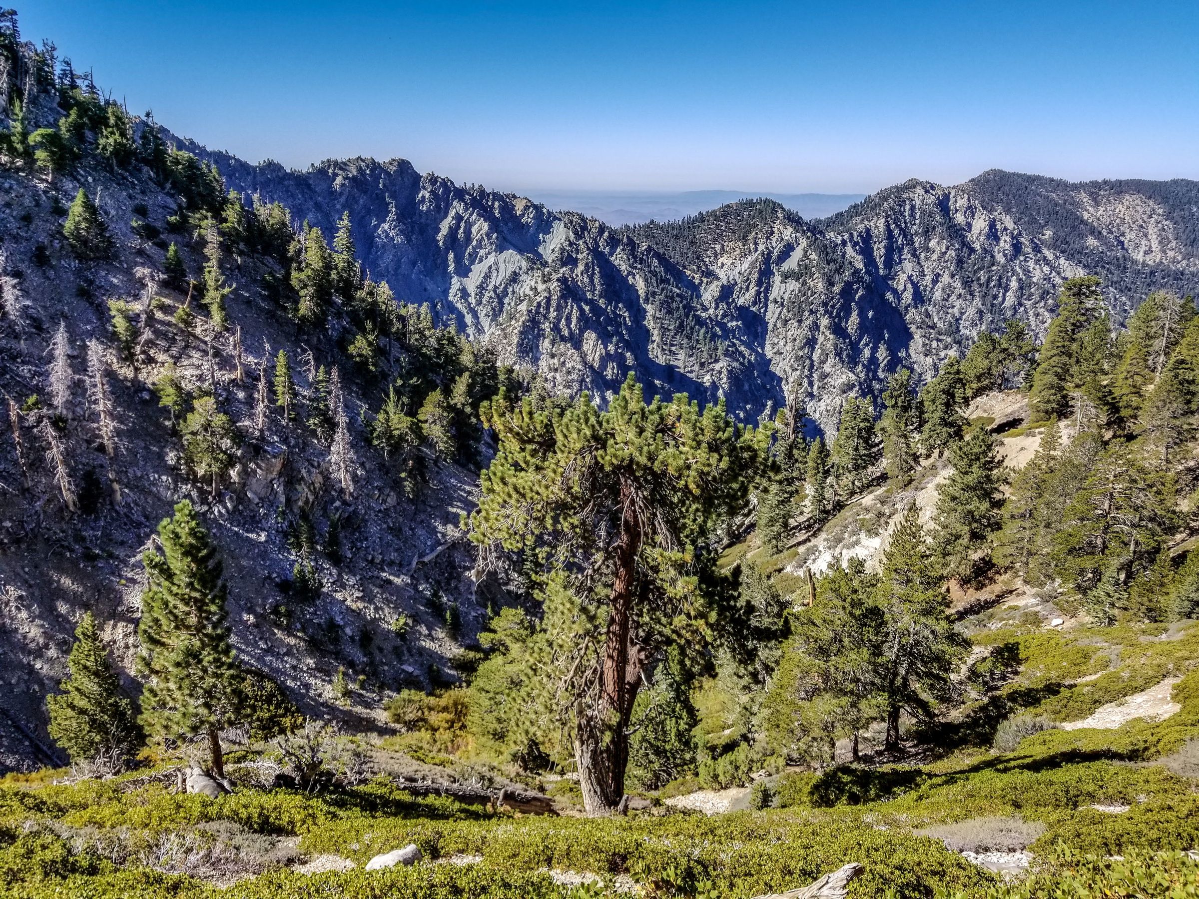 Scene between Halfway and High Creek Camps