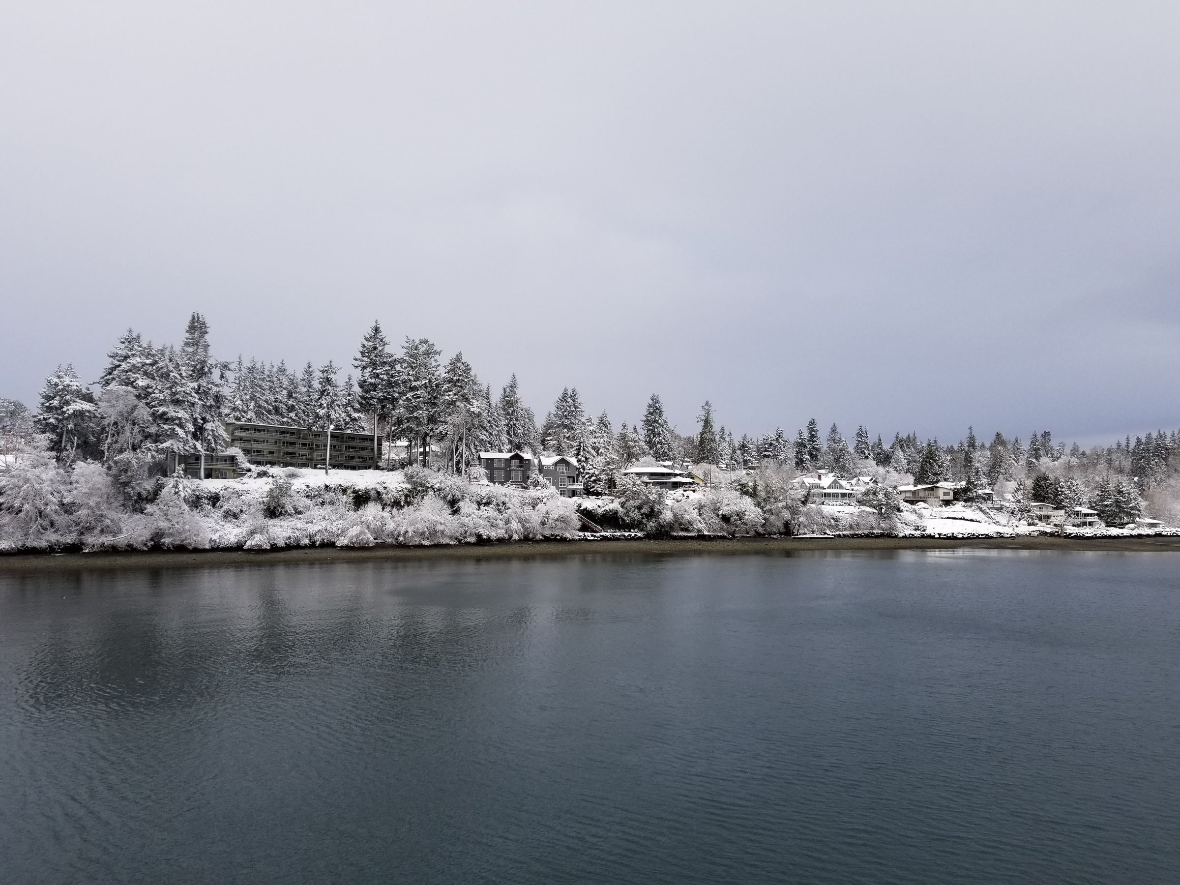 Bainbridge Island as the ferry approaches