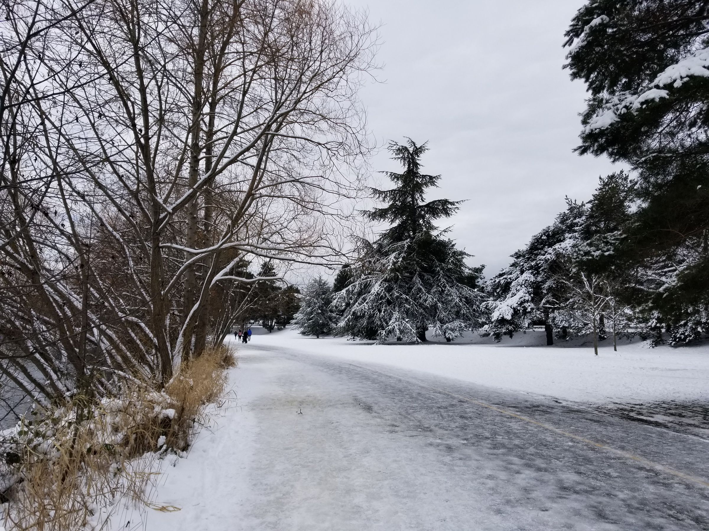 Morning stroll through Green Lake Park