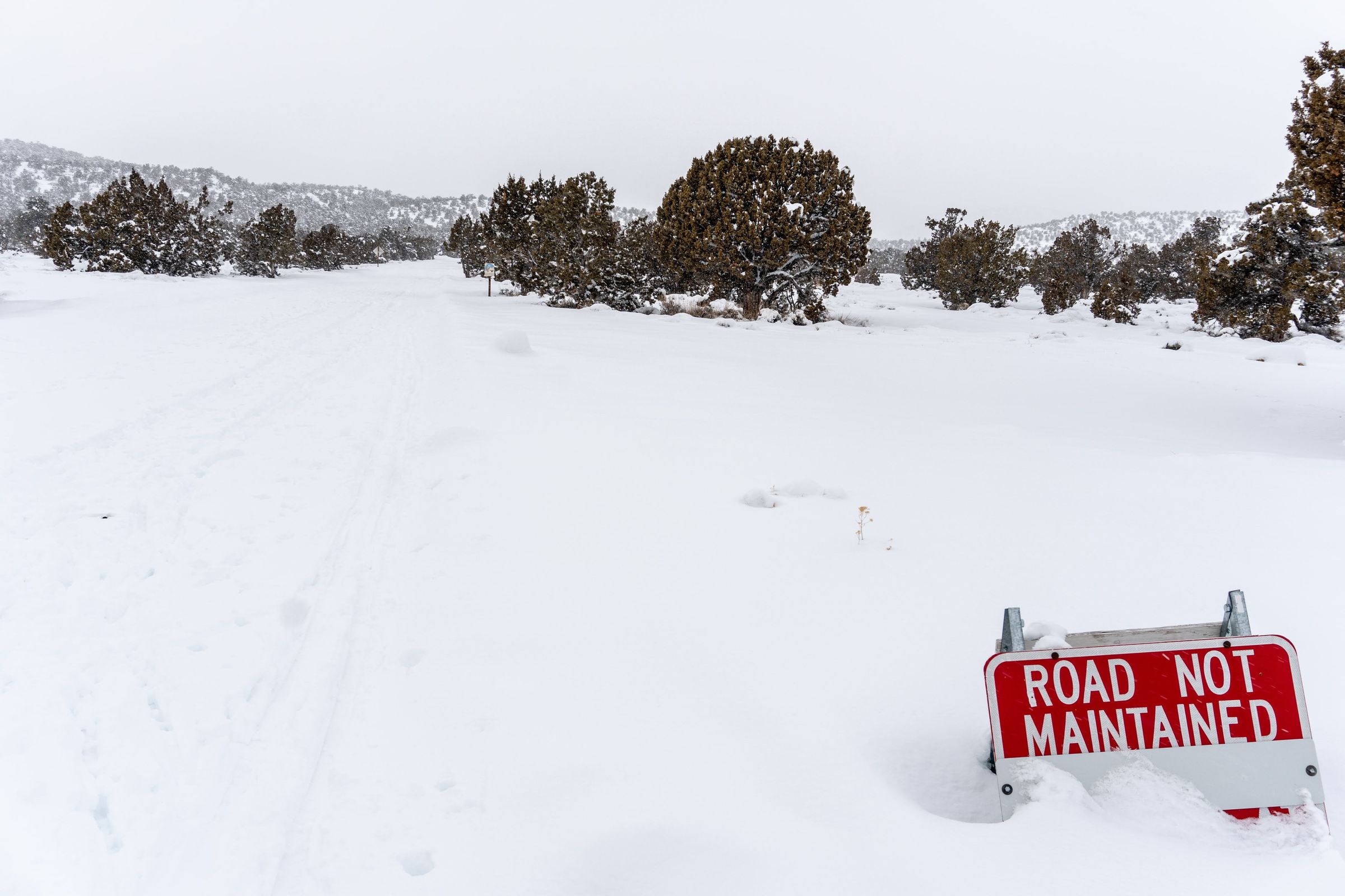 Highway 168 and White Mountain Road. This is the road to the Ancient Bristlecone Pine Forest, which appears to be used by cross-country skiers when it's snowed over. And I'm glad there's a sign to let us know this road is not maintained.