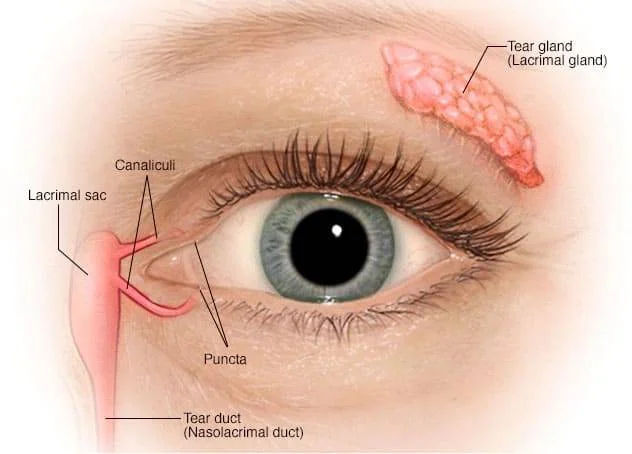 Dry Eye Treatment in Mumbai – Relief for Irritated, Tired Eyes