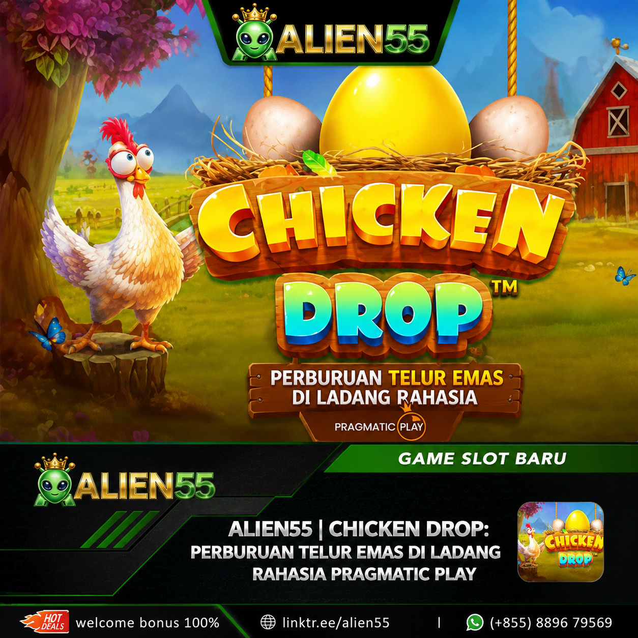 ALIEN55 | Chicken Drop: Perburuan Telur Emas di Ladang Rahasia Pragmatic Play