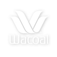 wacoal logo