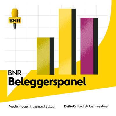 Beleggerspanel
