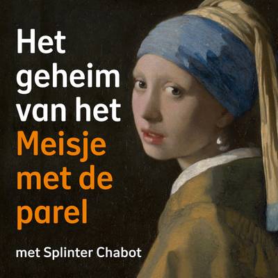 Het geheim van het Mauritshuis