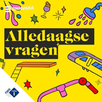 Alledaagse Vragen