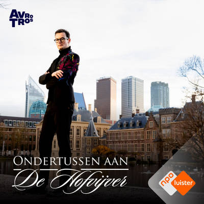 Ondertussen aan de Hofvijver
