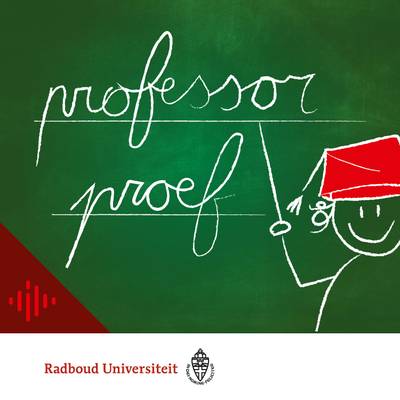 Professorproef