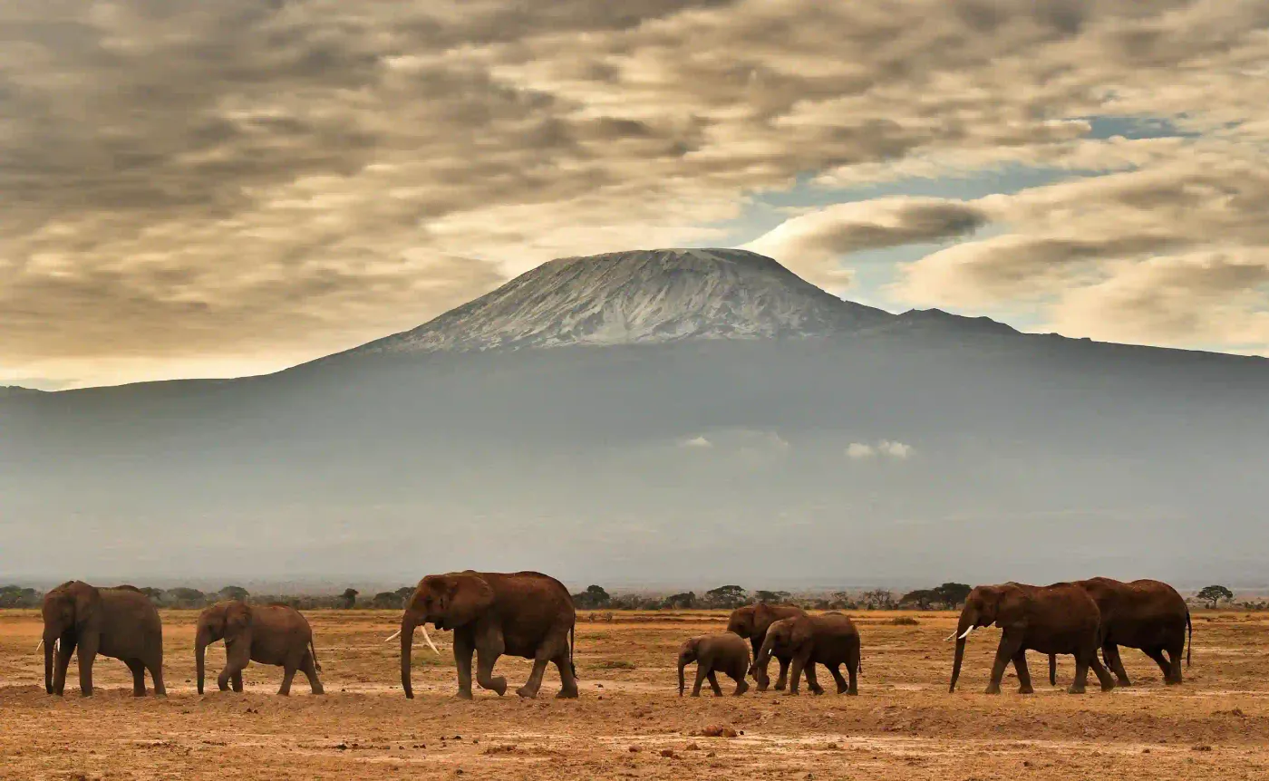 Mount Kilimanjaro