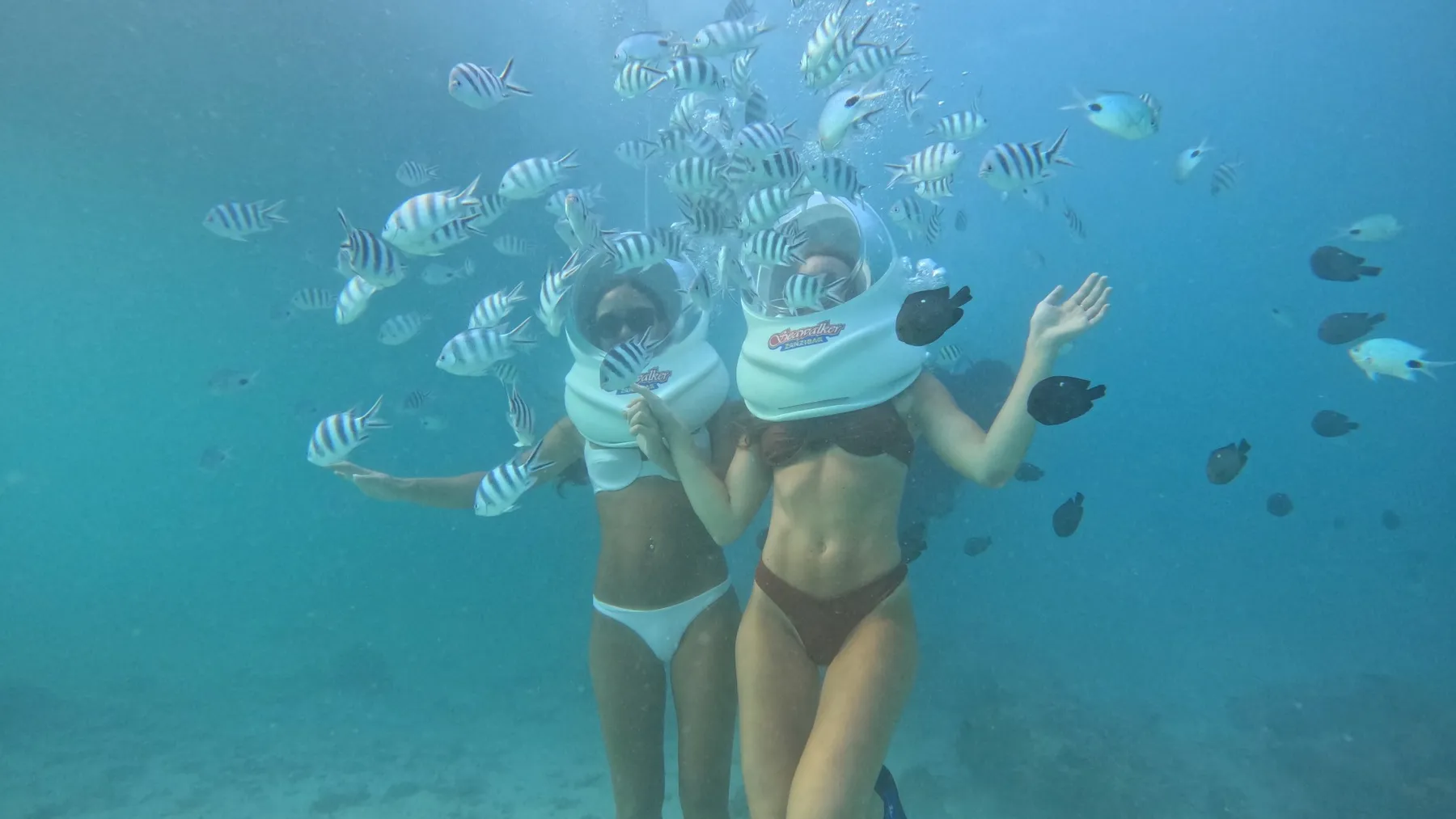 UNDERSEA WALKING