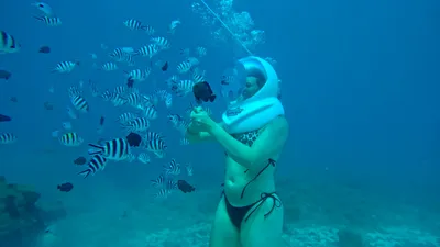 UNDERSEA WALKING