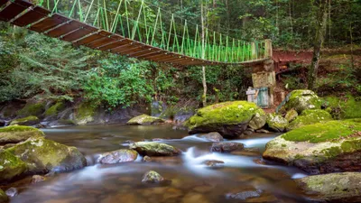 Udzungwa Mountains 3-Day Adventure