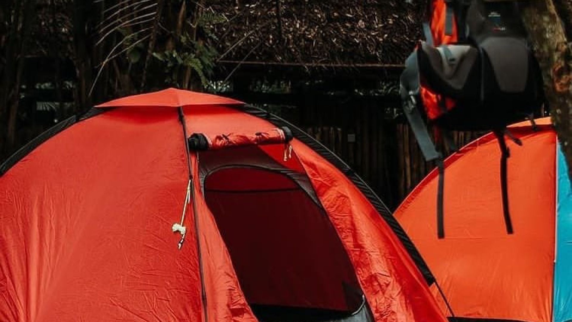 MAGOROTO FOREST CAMPING. 