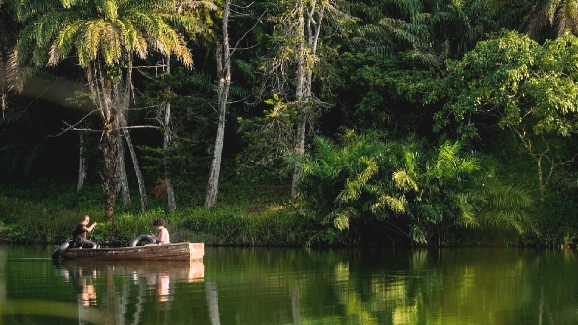 MAGOROTO FOREST CAMPING. 
