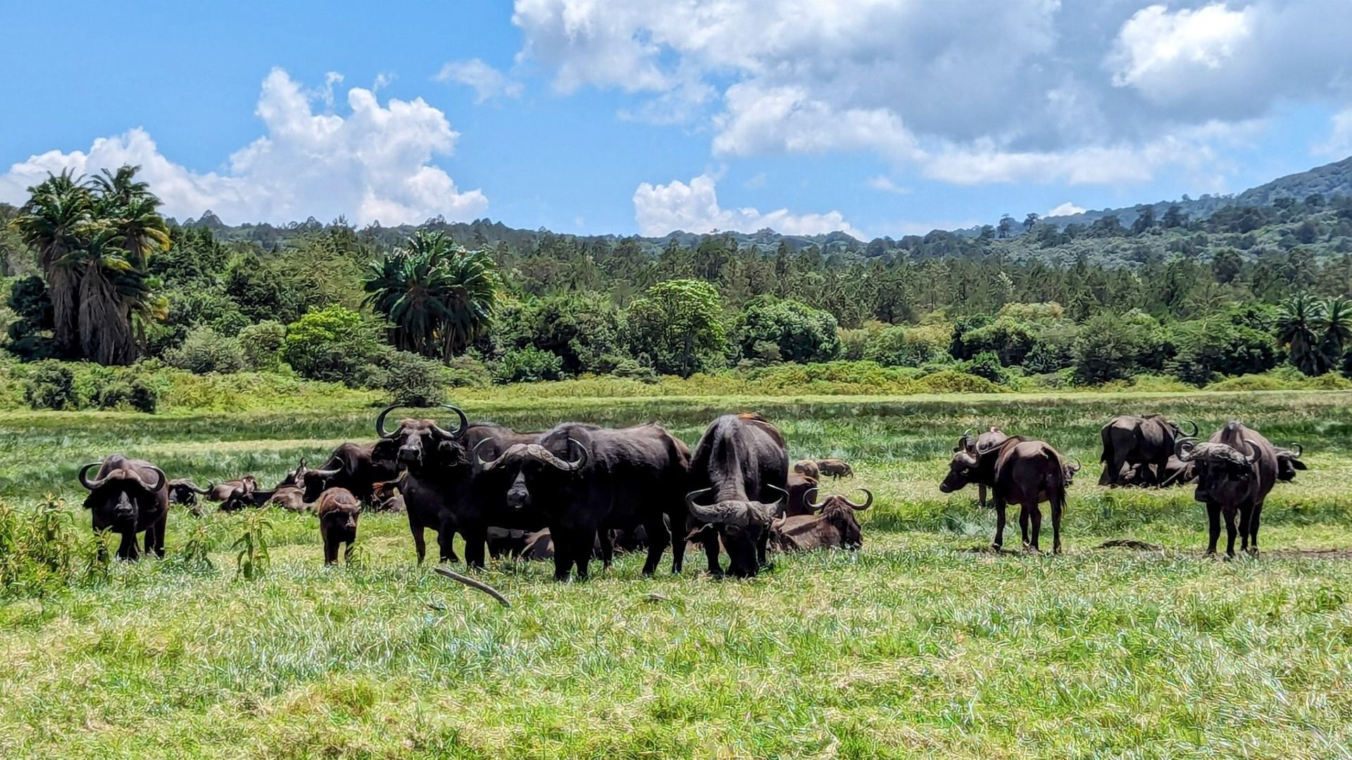 ARUSHA NATIONAL PARK