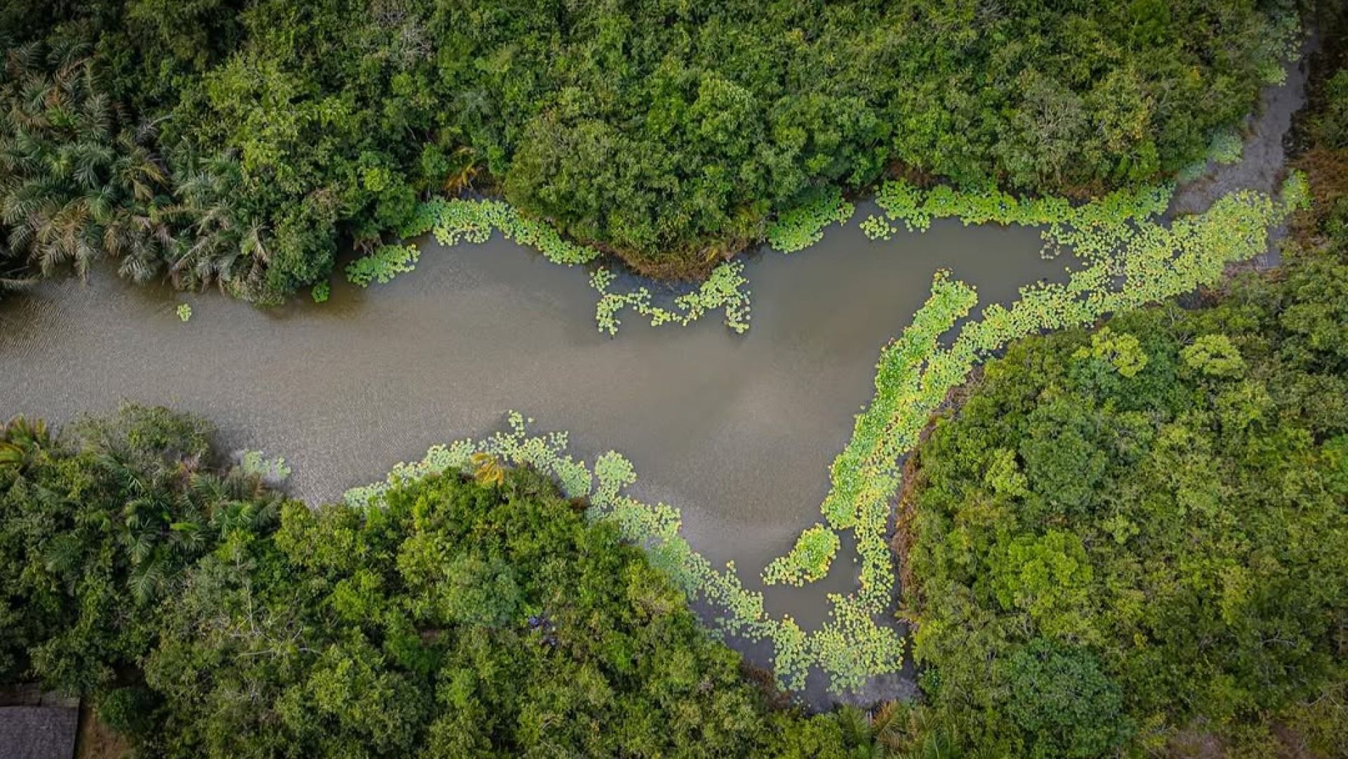 VIKINDU FOREST RESERVE