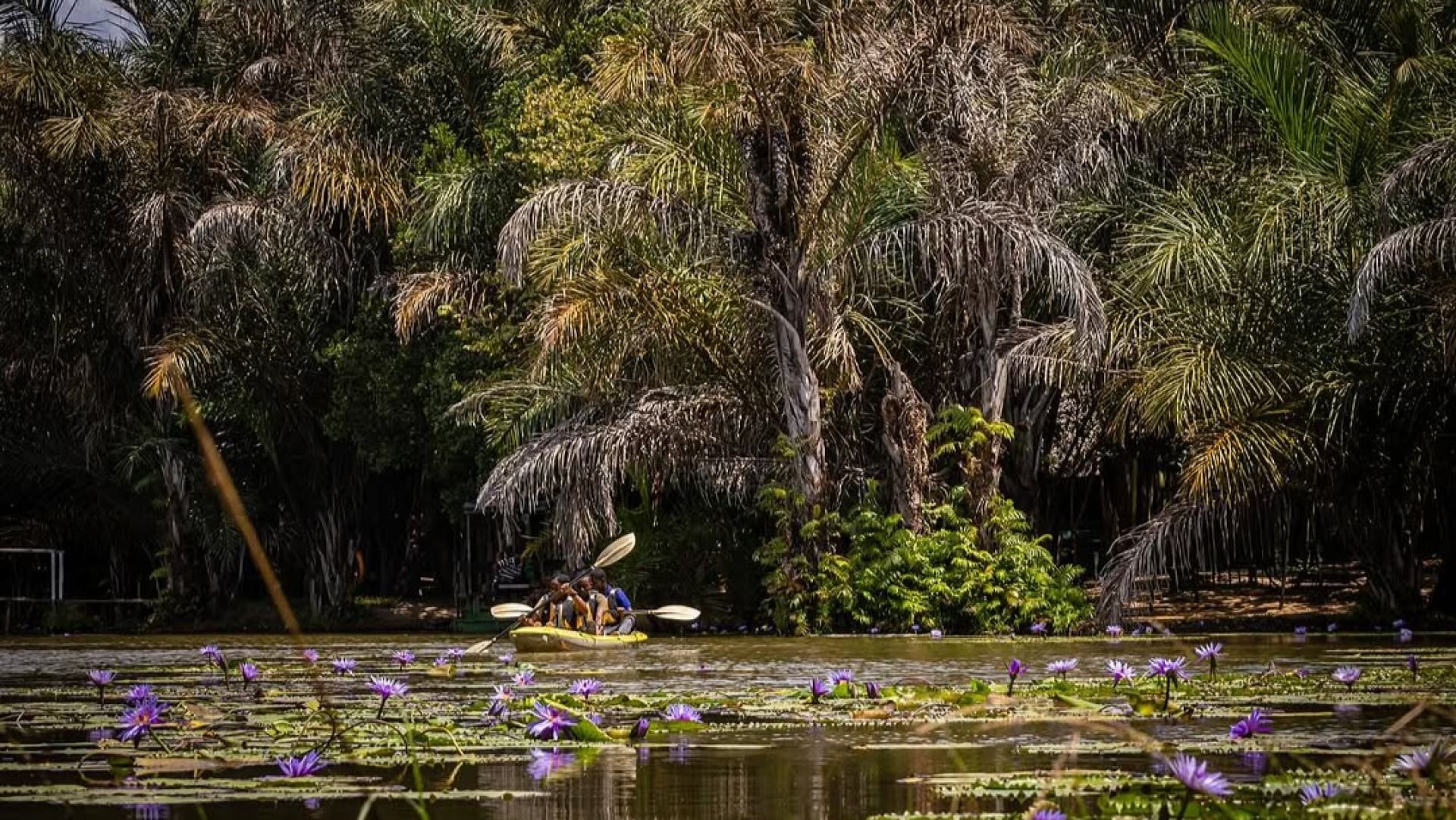 VIKINDU FOREST RESERVE