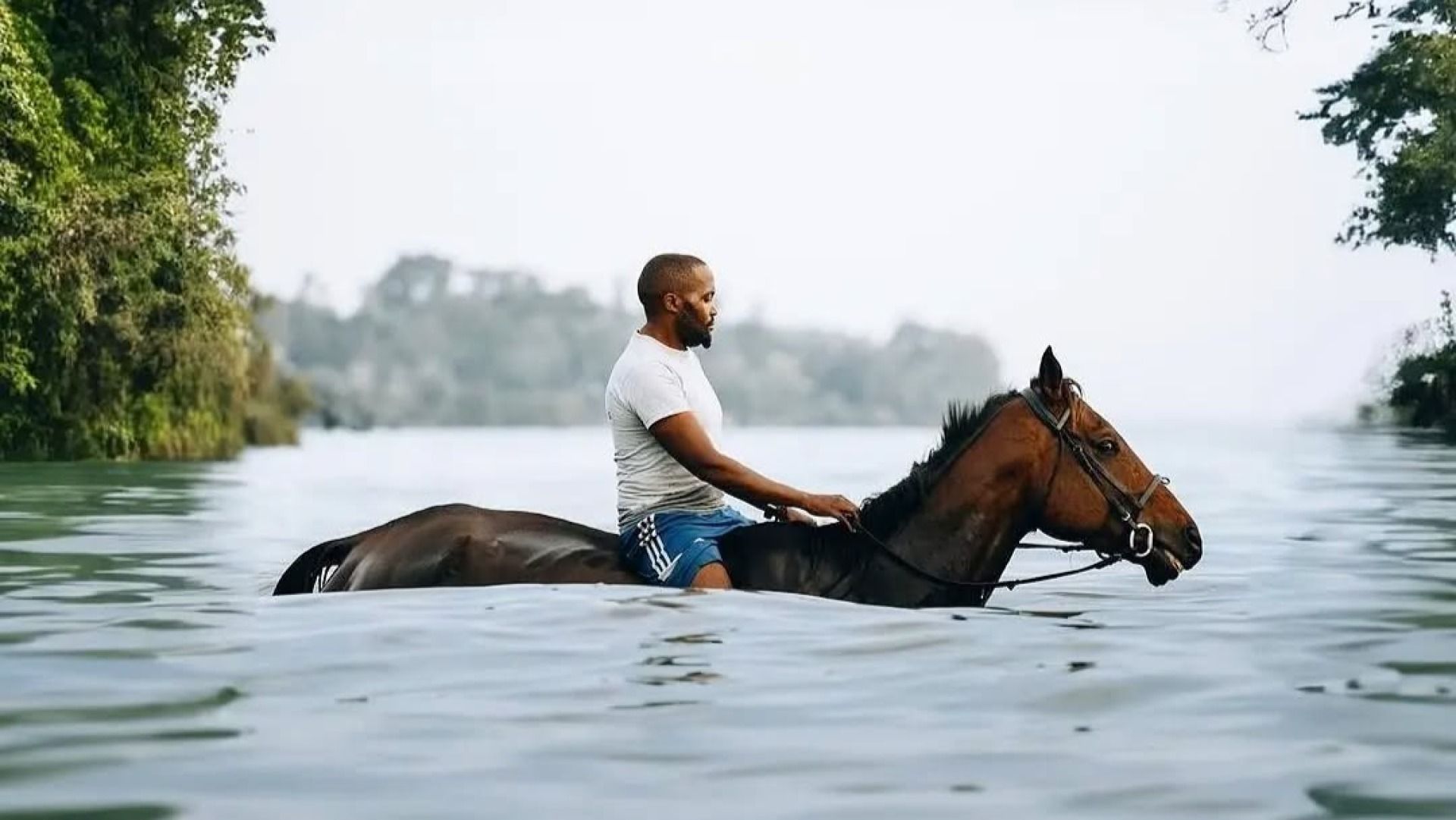 HORSEBACK RIDING ADVENTURE.