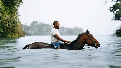 HORSEBACK RIDING ADVENTURE.