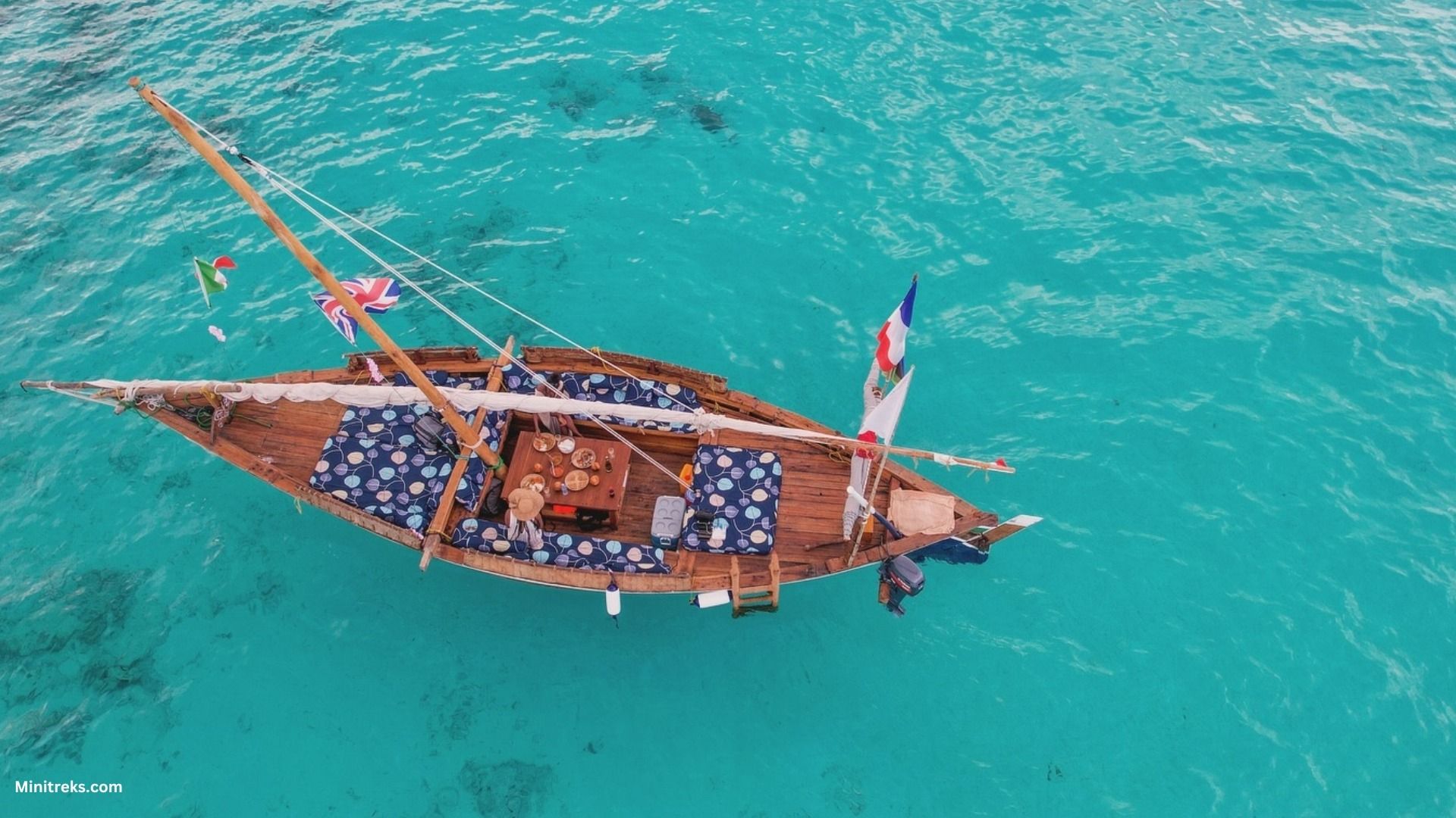 SAFARI BLUE ADVENTURE