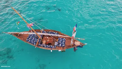 SAFARI BLUE ADVENTURE