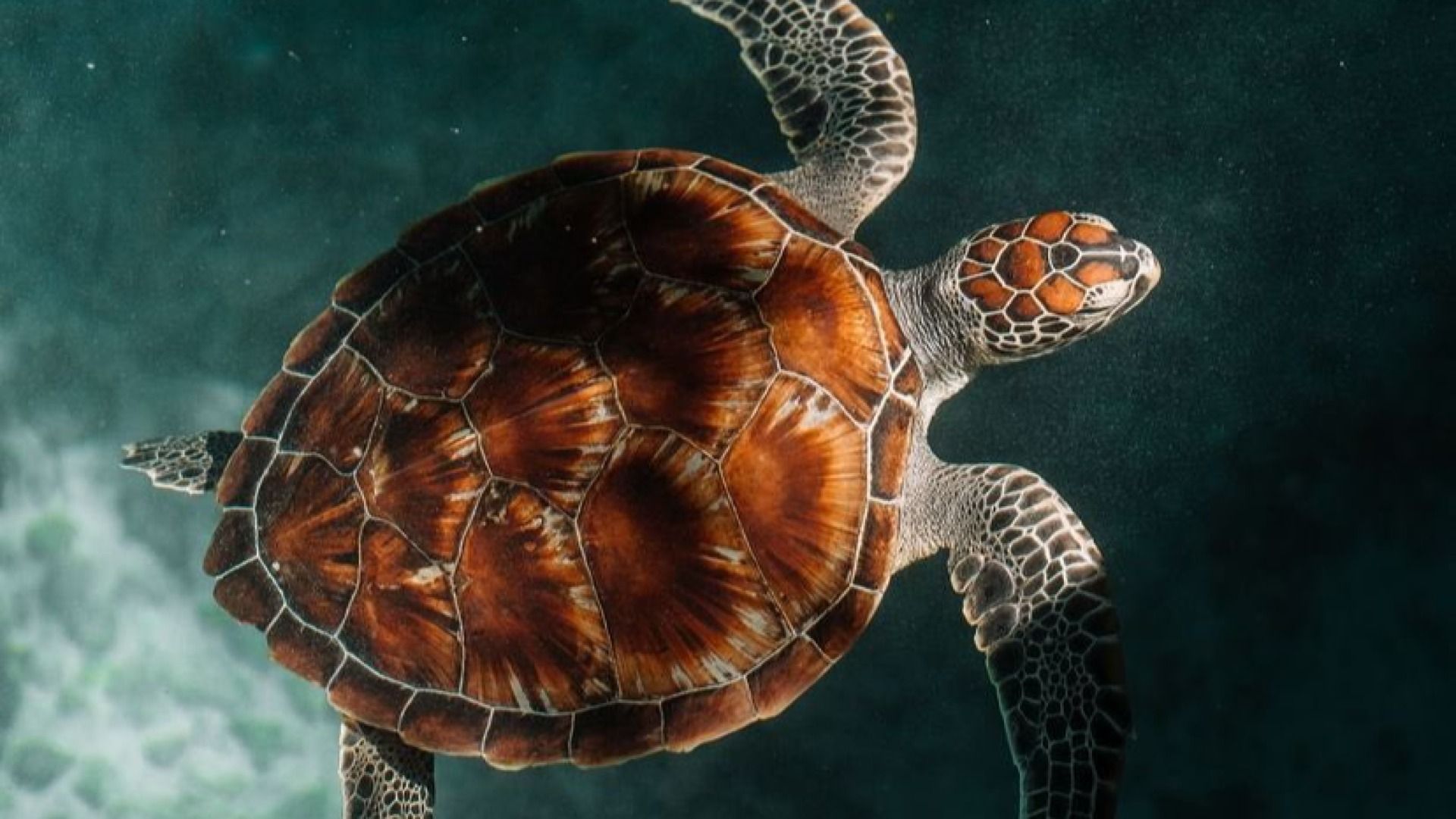 SALAAM CAVE ADVENTURES