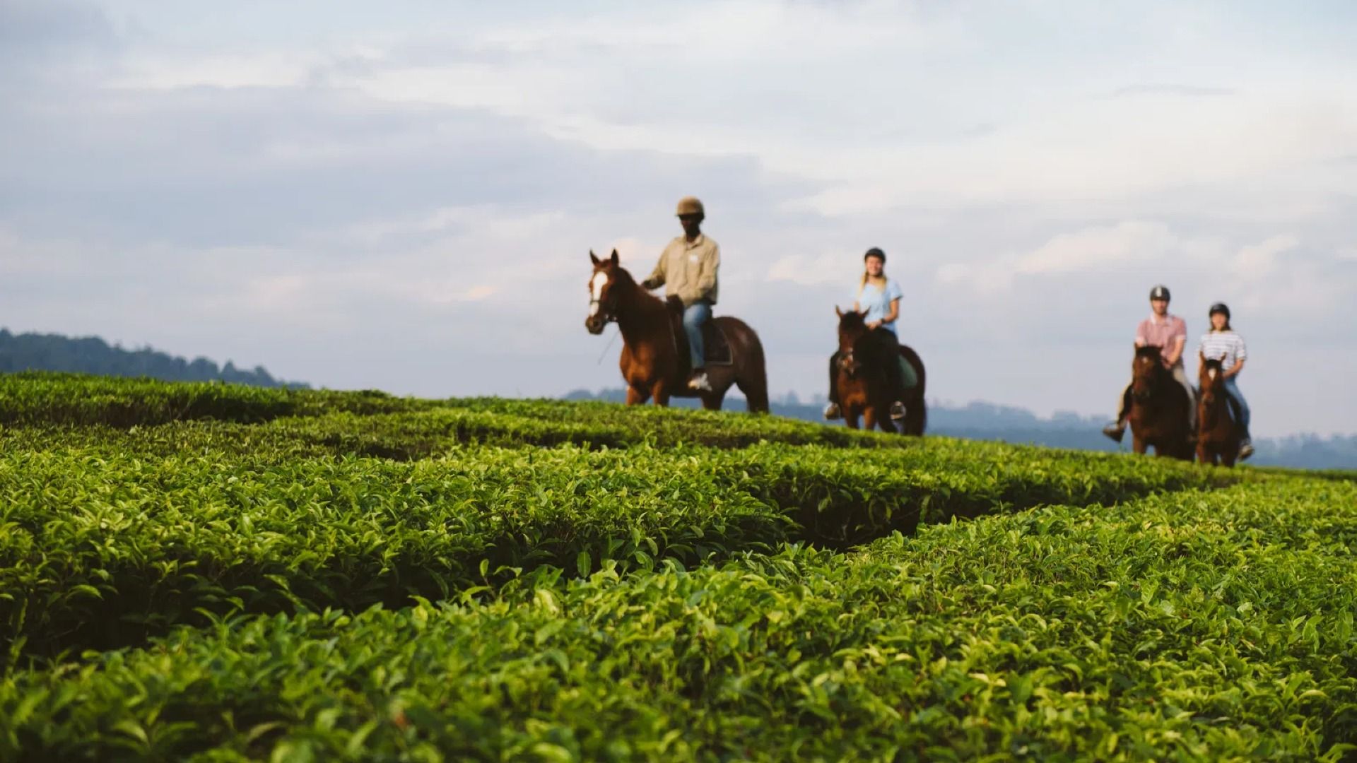 MUFINDI HIGHLANDS ESCAPE- 2Day