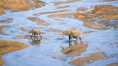 4-Day Safari: Serengeti, Tarangire & Ngorongoro adventure