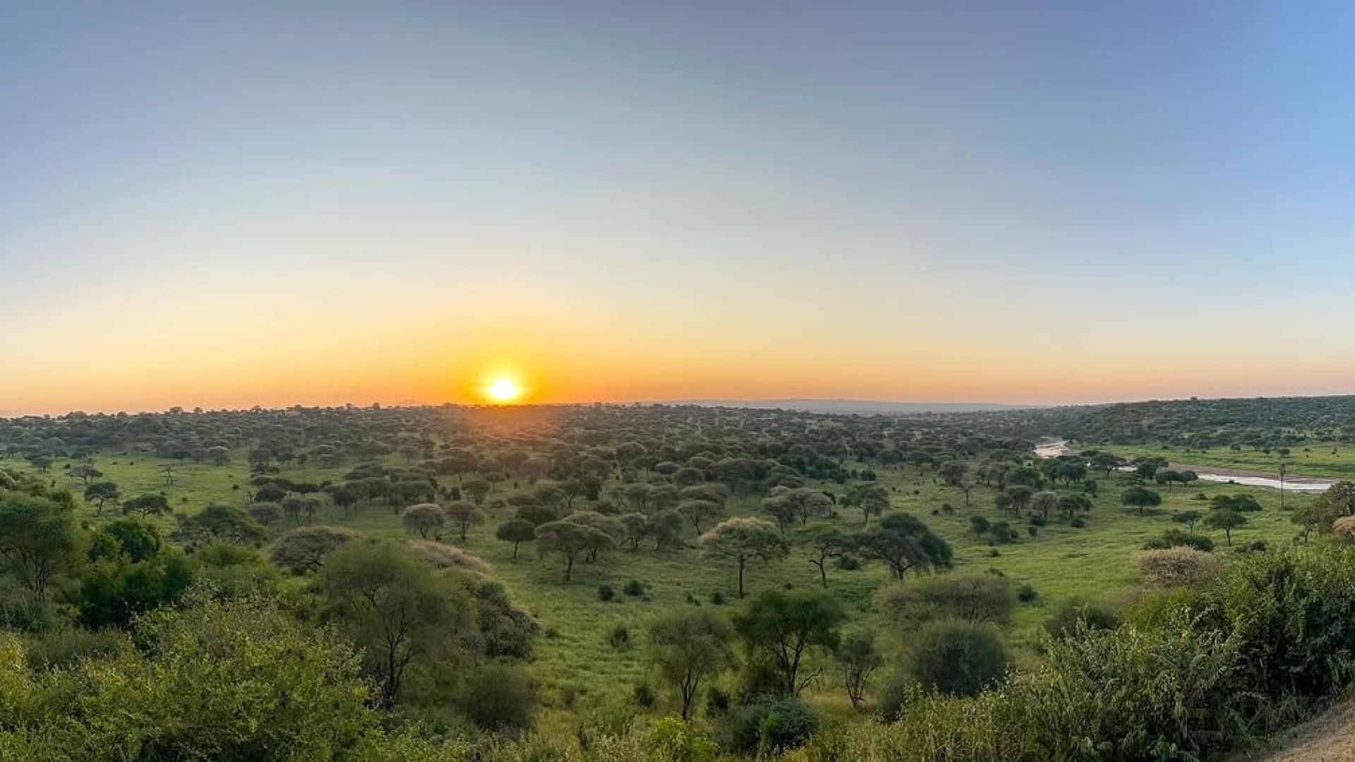 4-Day Safari: Serengeti, Tarangire & Ngorongoro adventure