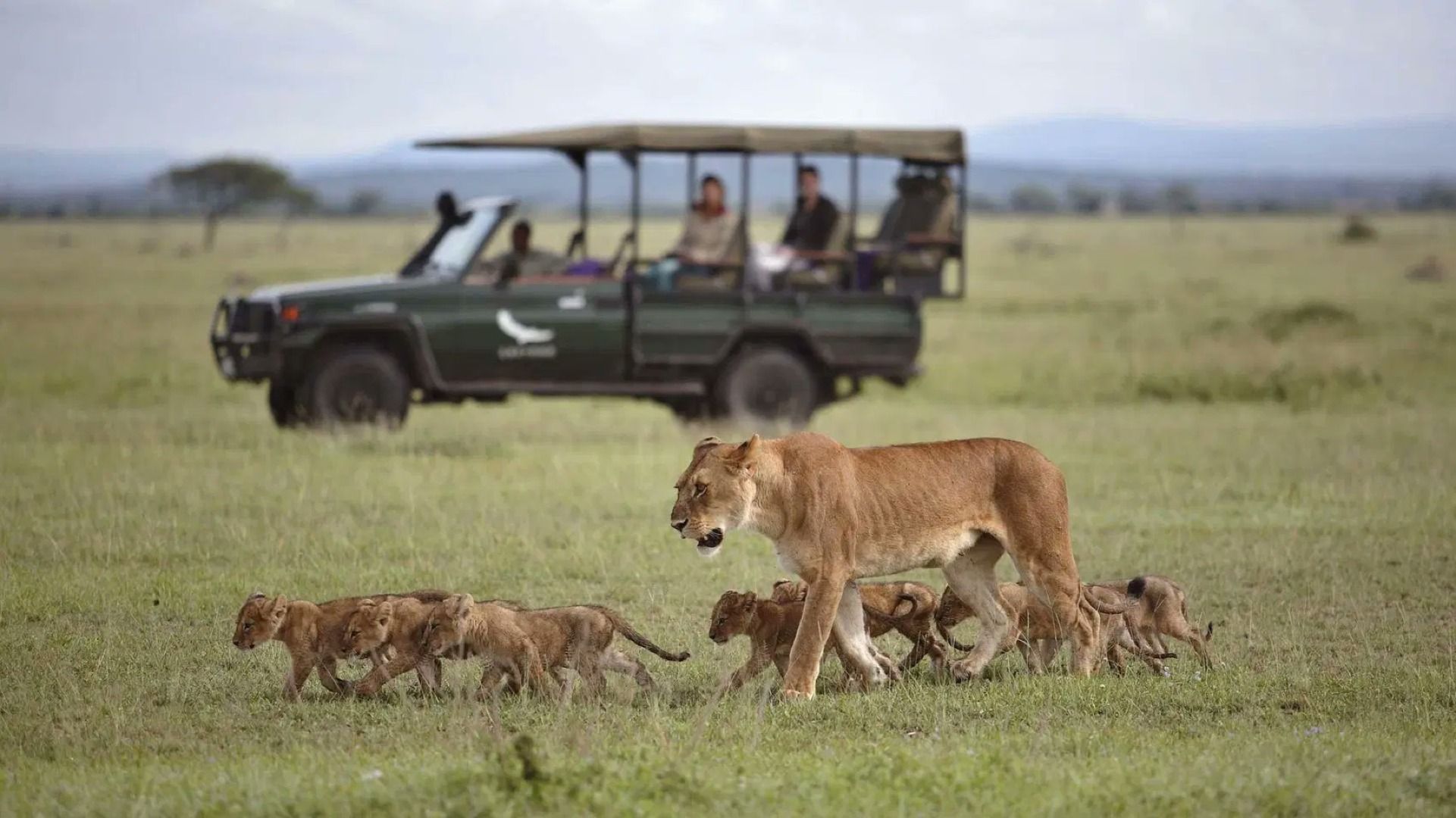 Northern Serengeti Safari: 6 Days / 5 Nights