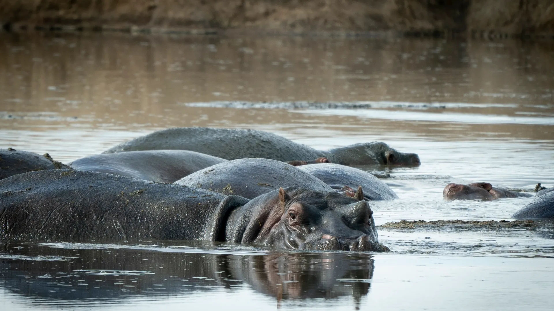 3-Day Tanzania Wildlife Discovery Safari