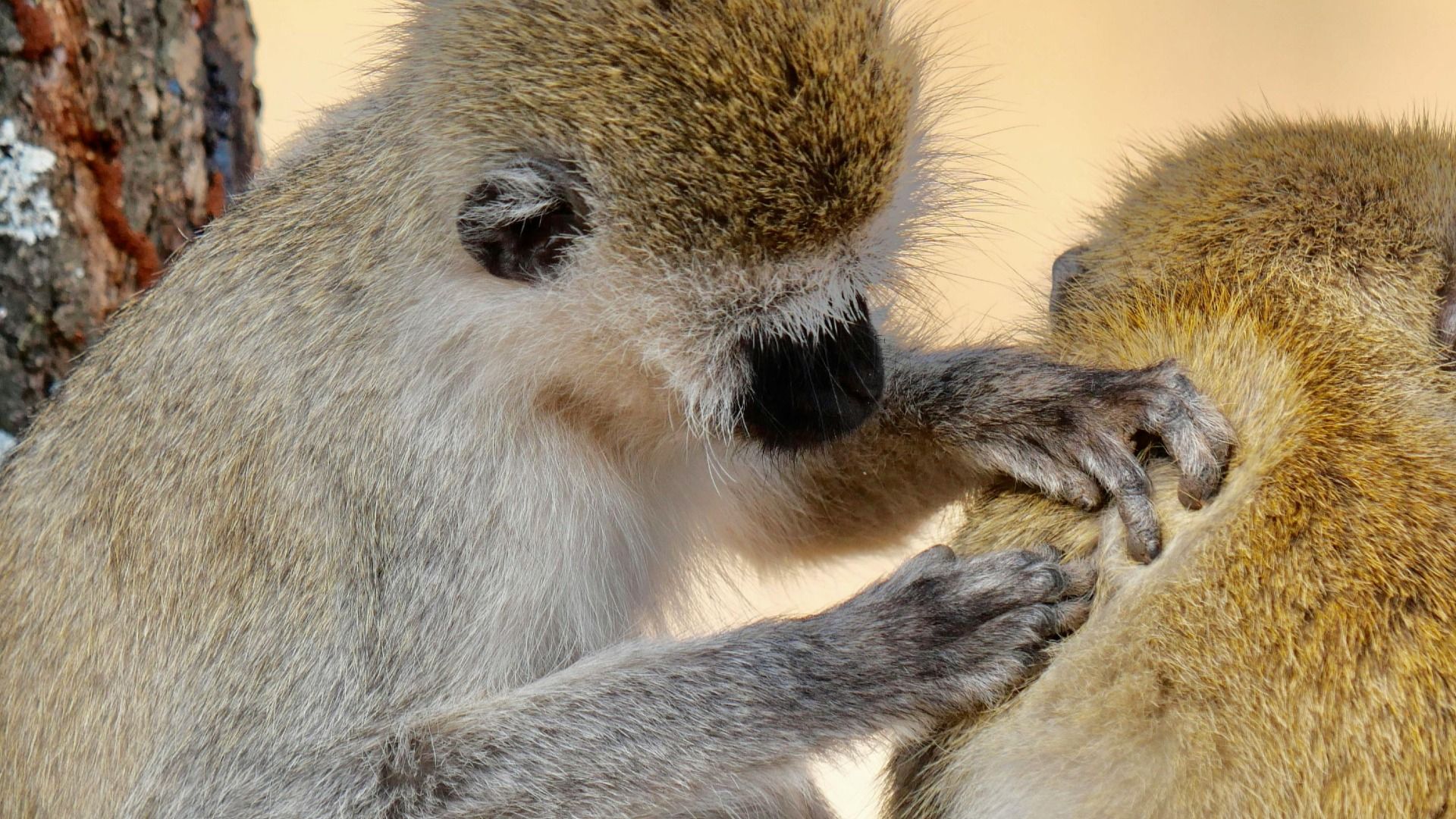 2 Days Mikumi Adventure