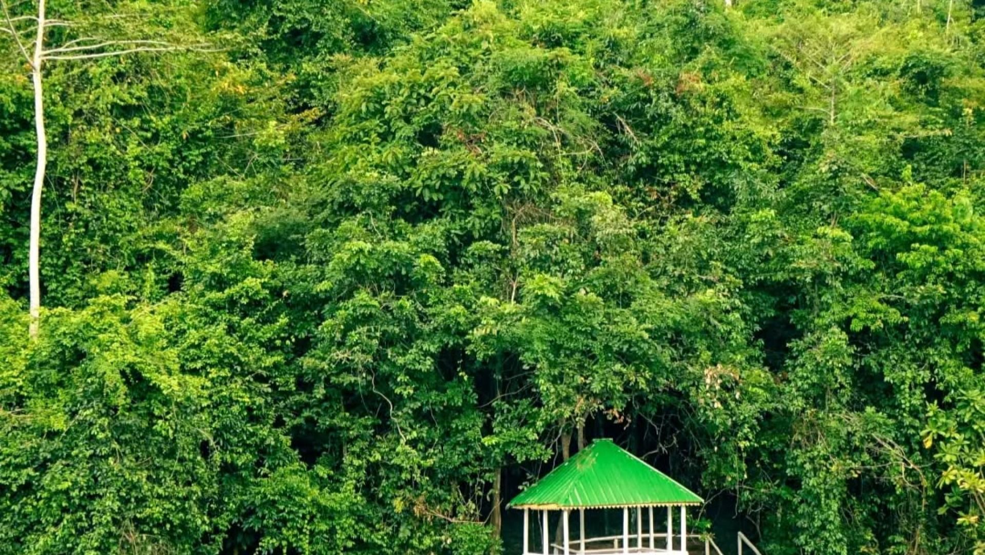 Pugu Hills 2-Day Adventure