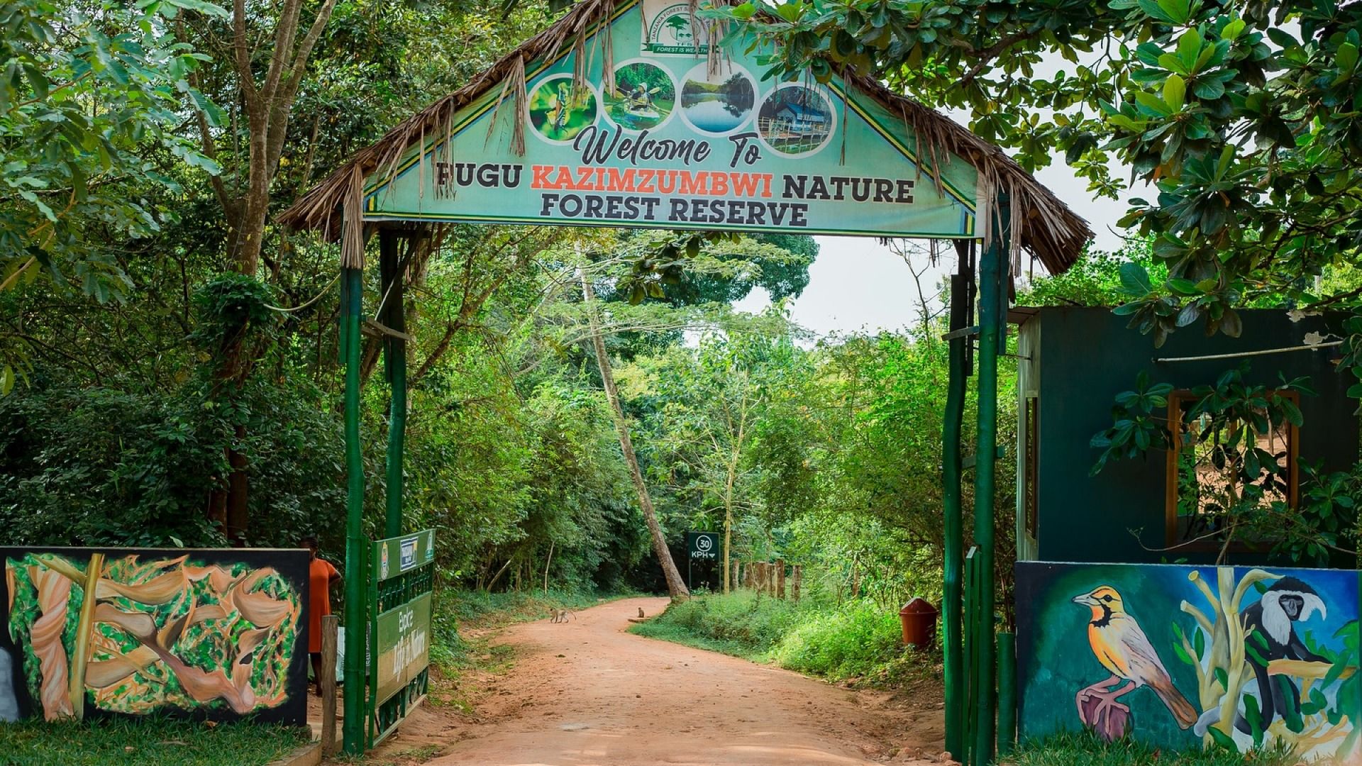 Pugu Hills 2-Day Adventure