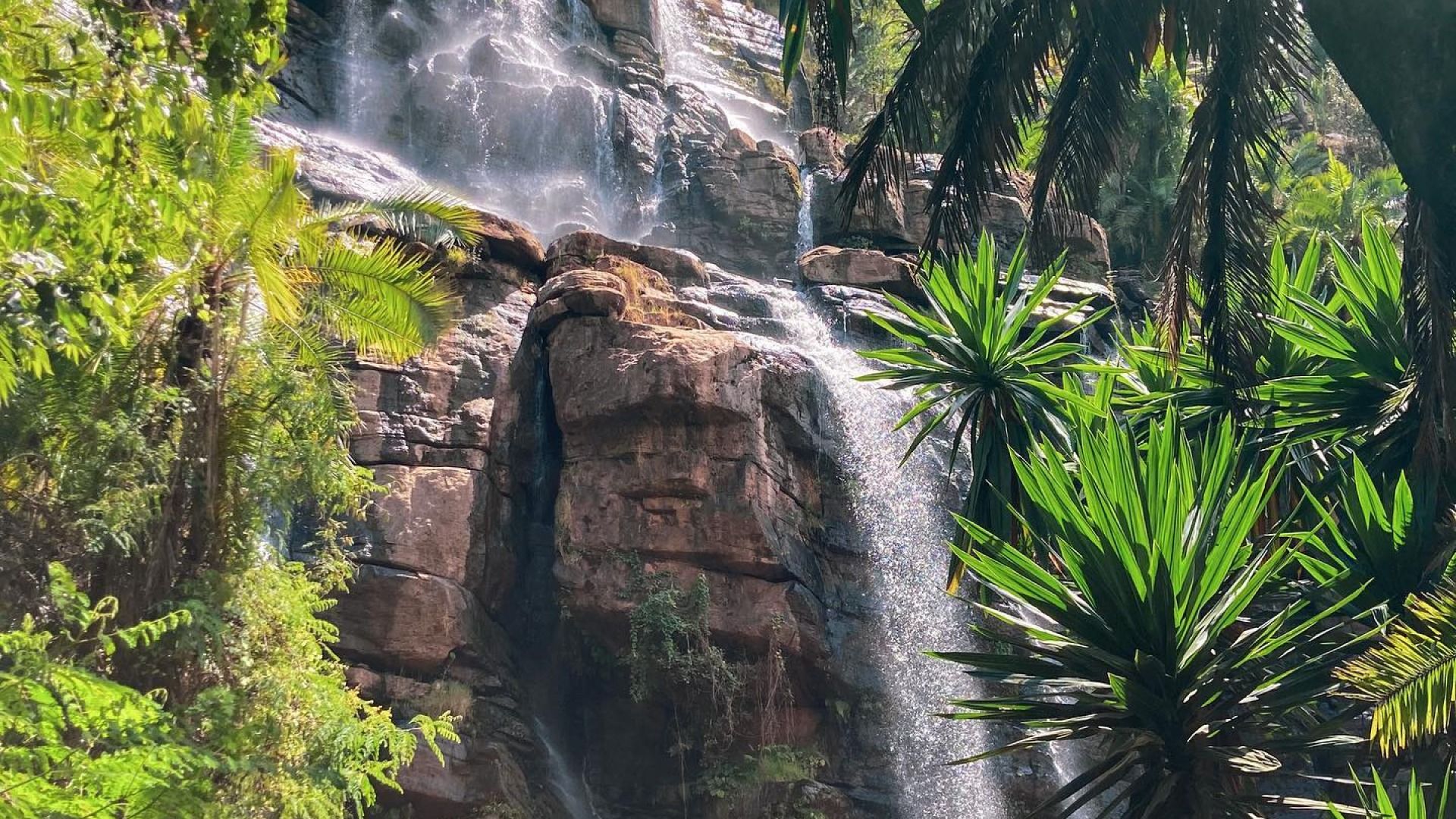 Day trip: Lushoto Town & Irente Sunset Experience