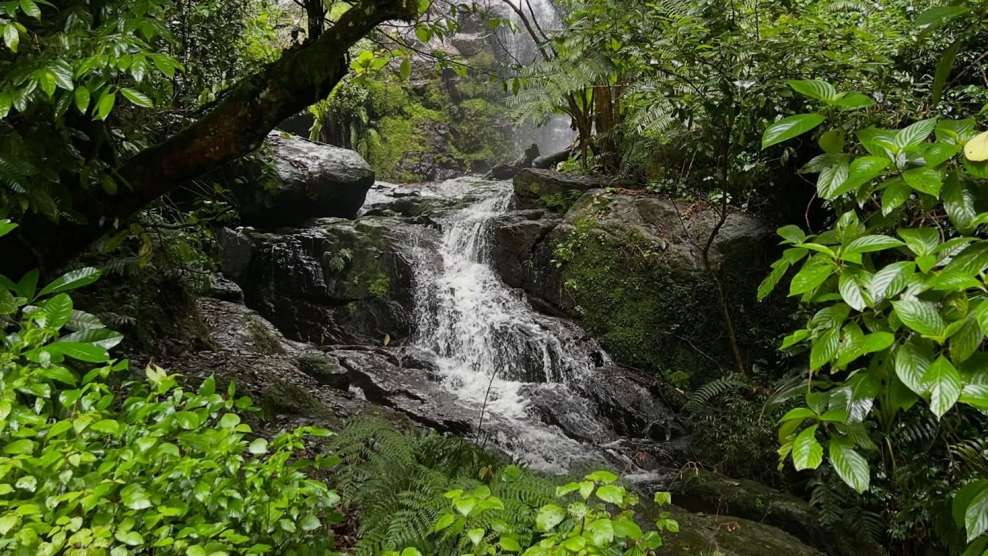 Day trip Magamba to Kisasa Waterfall Trek Adventure