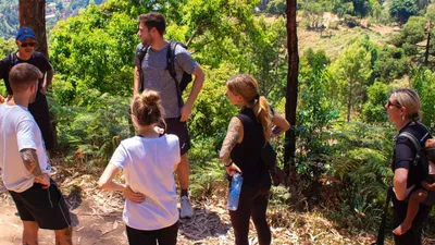 Mazumbai Forest Escape: 3-Night Highlands Adventure