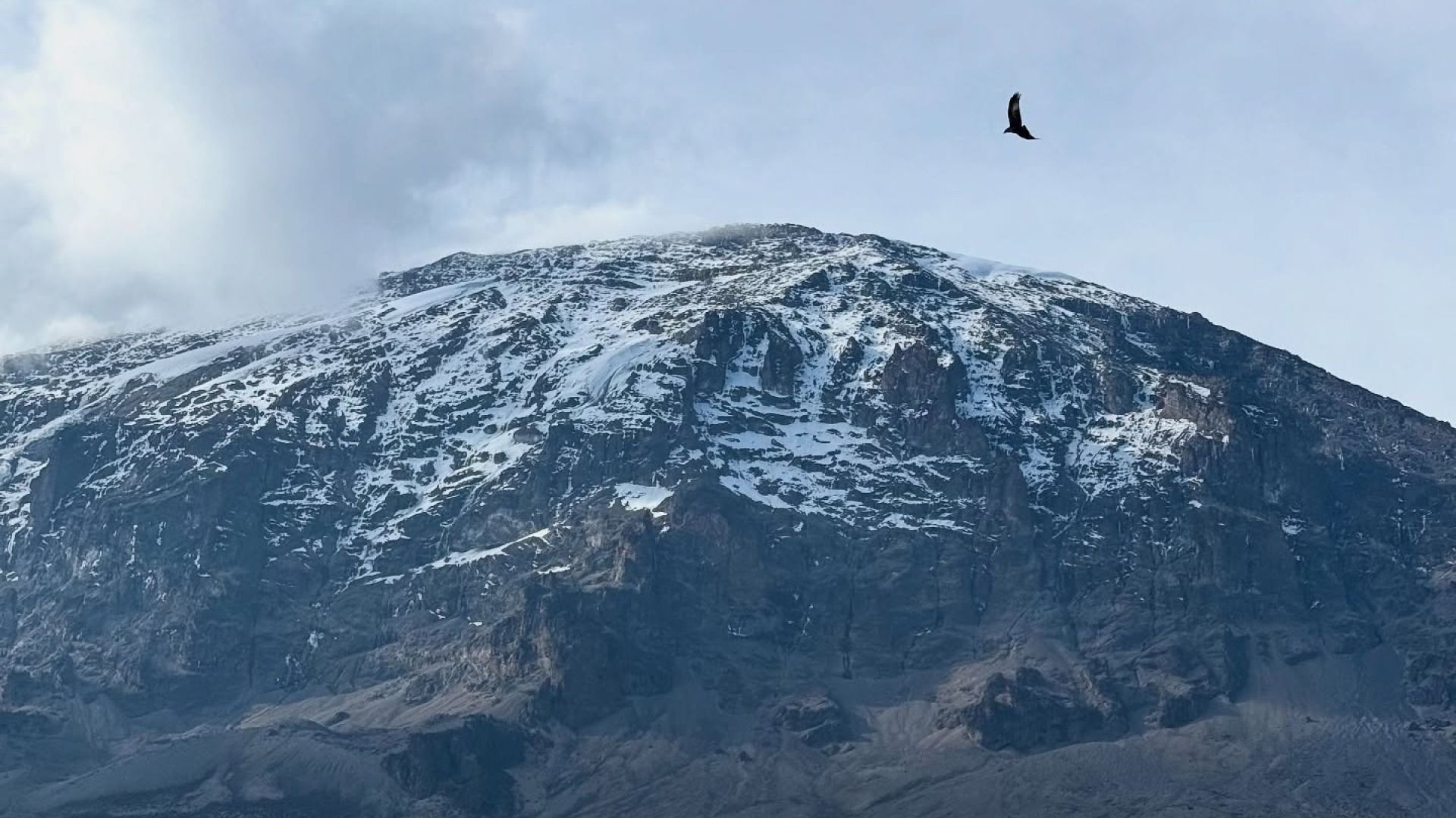 7-Day Machame Route Kilimanjaro Trekking Tour 
