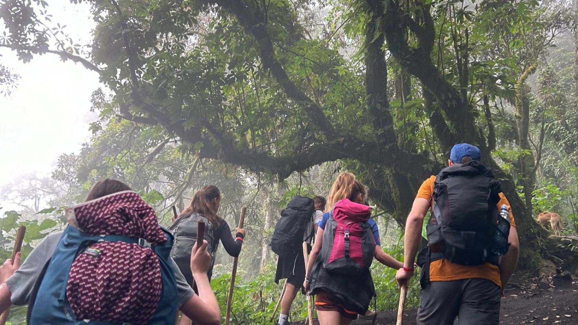 7-Day Machame Route Kilimanjaro Trekking Tour 