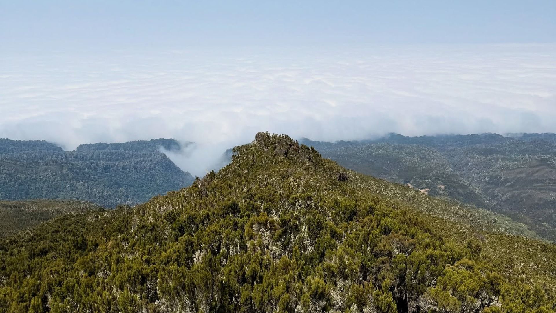 7-Day Machame Route Kilimanjaro Trekking Tour 